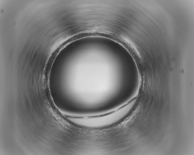 X0000088480876200705221414