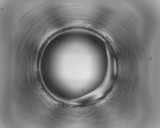 X0000088480880200705221414