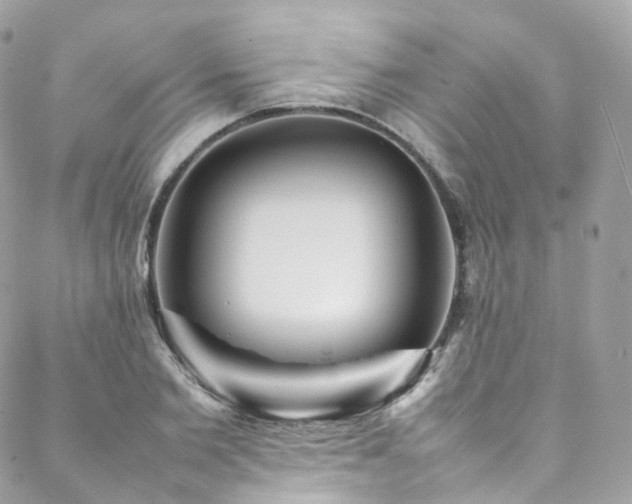 X0000088480885200705221414