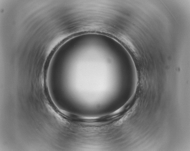 X0000088480888200705221414