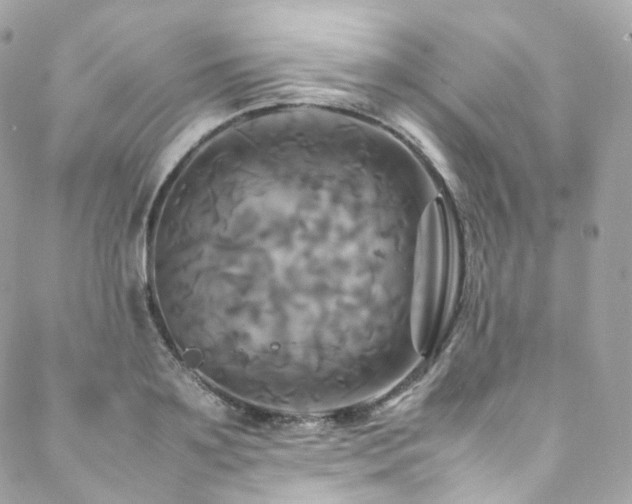 X0000088480891200705221414