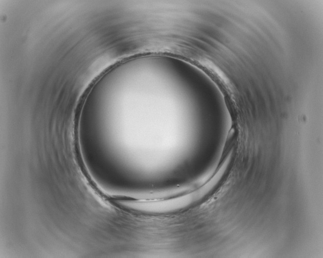 X0000088480894200705221414