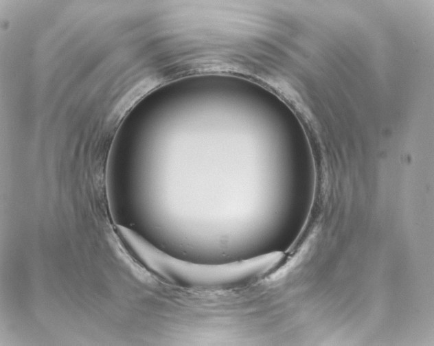 X0000088480897200705221414