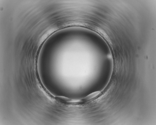 X0000088480898200705221414