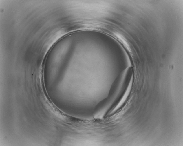 X0000088480899200705221414