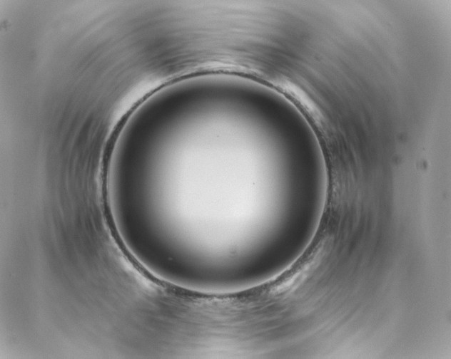 X0000088480902200705221414