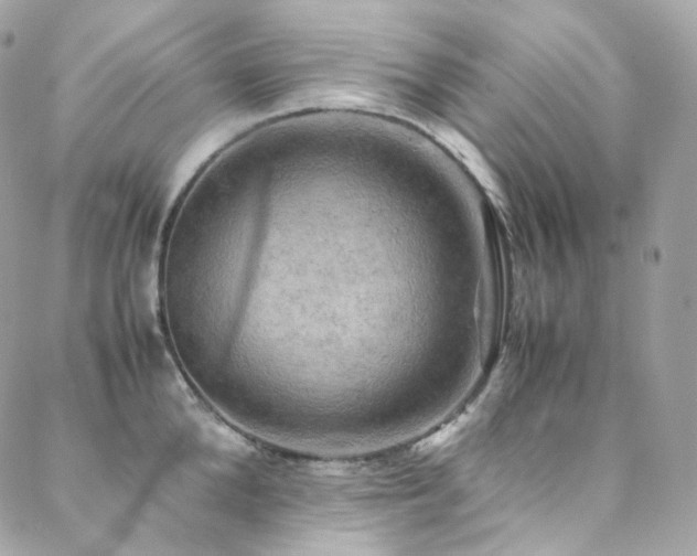 X0000088480904200705221414