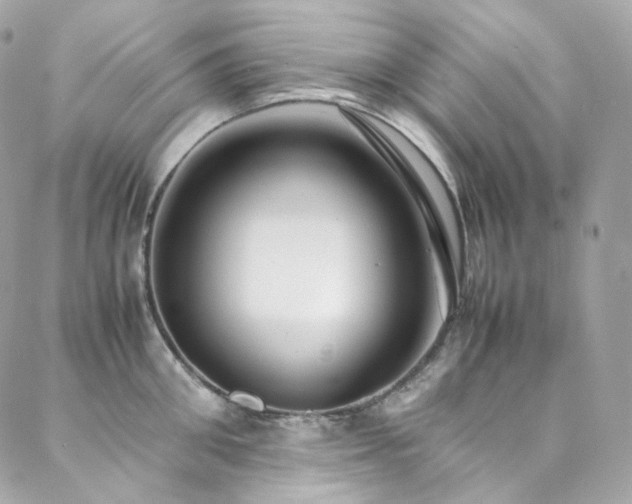 X0000088480906200705221414