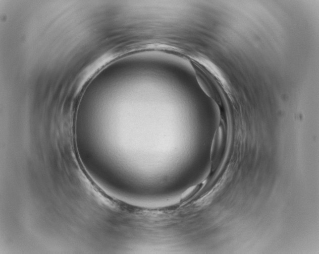 X0000088480910200705221414