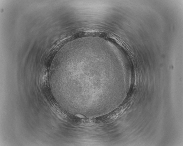 X0000088480914200705221413