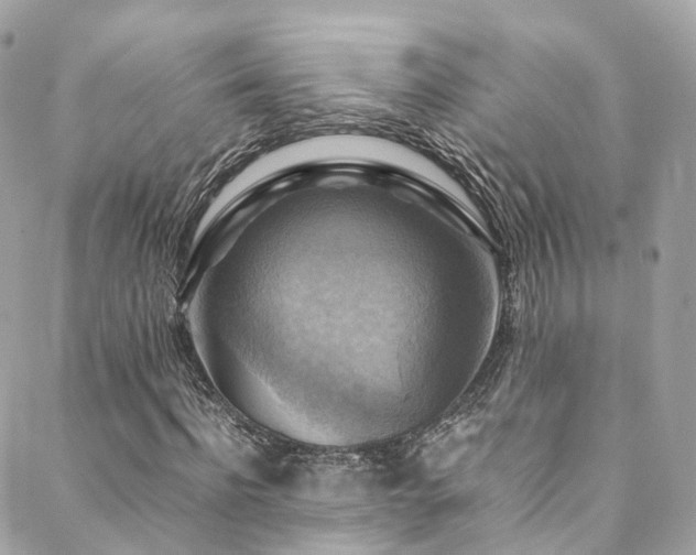 X0000088480916200705221413