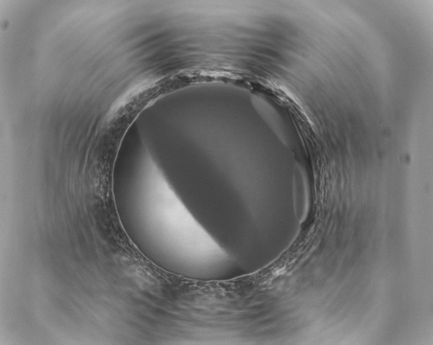 X0000088480919200705221413