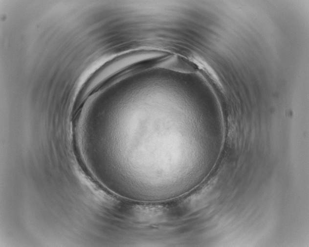 X0000088480939200705221413