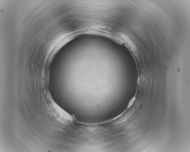 X0000088480948200705221413