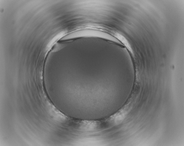 X0000088480954200705221414