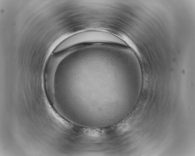 X0000088480955200705221414