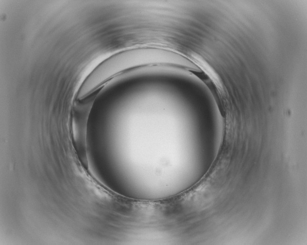 X0000088480956200705221414
