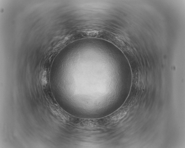 X0000088480962200705221413