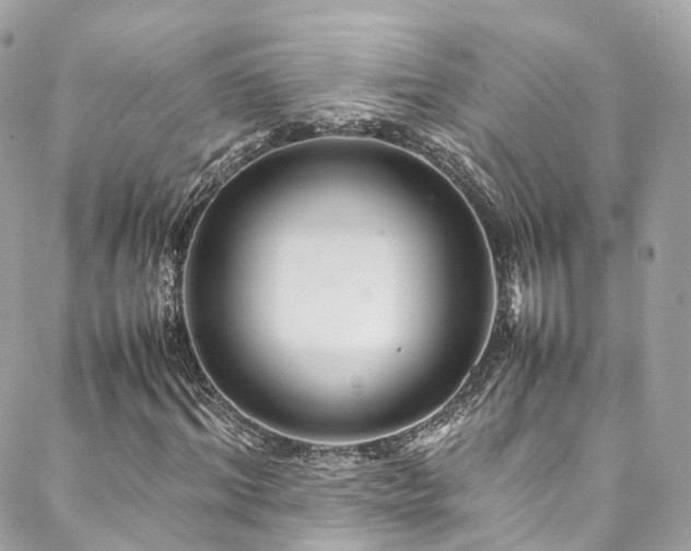 X0000088480964200705221413