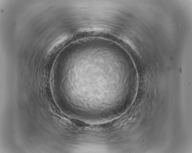 X0000088480967200705221413