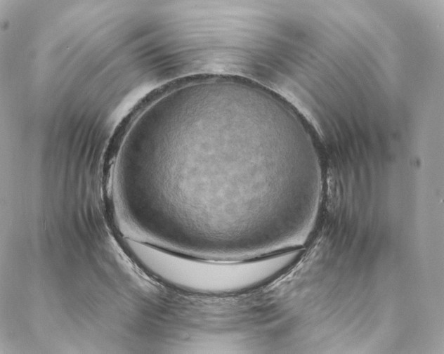 X0000088480972200705221413