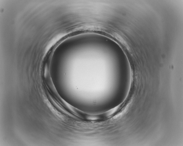 X0000088480981200705221412