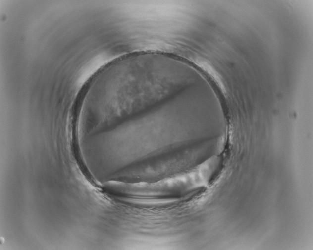 X0000088480983200705221412