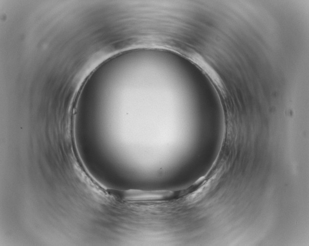 X0000088481004200705221412