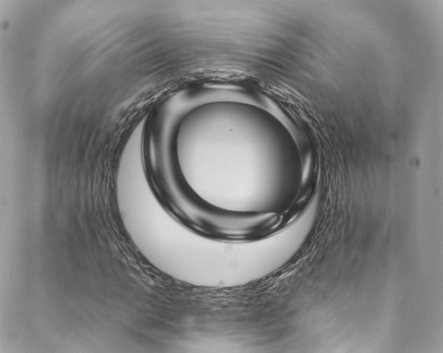 X0000088481014200705221411