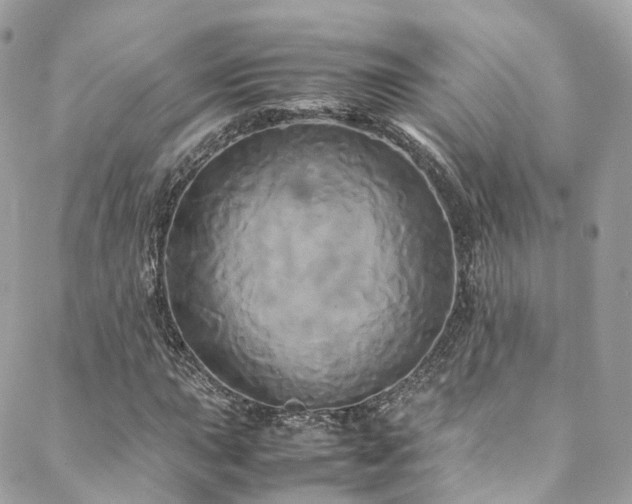 X0000088481015200705221411