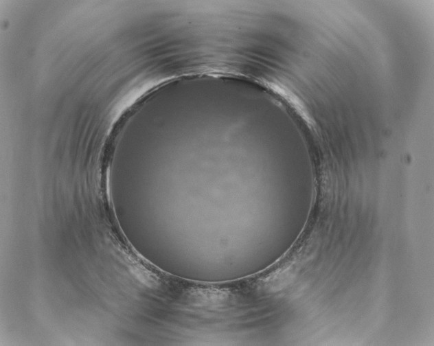 X0000088481023200705221412