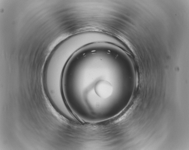 X0000088481034200705221412
