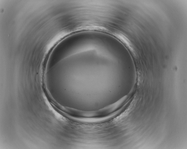 X0000088481046200705221412
