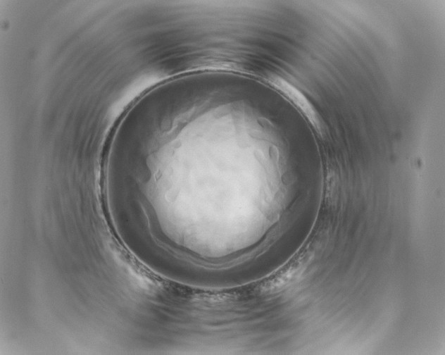 X0000088481051200705221412