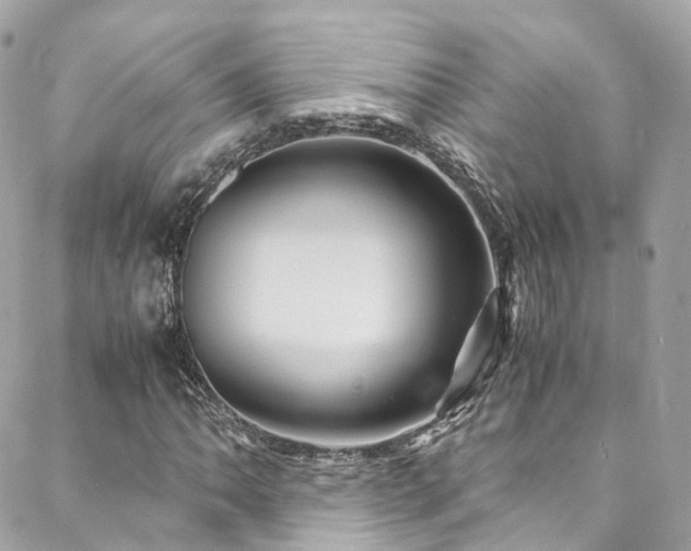 X0000088481062200705221411