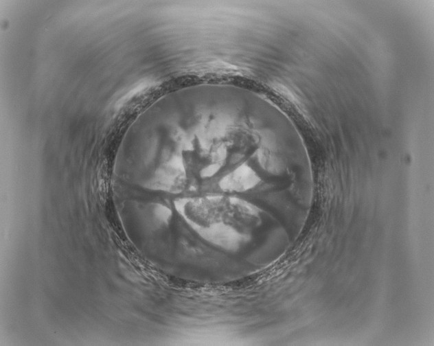 X0000088481063200705221411