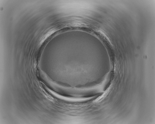 X0000088481065200705221411