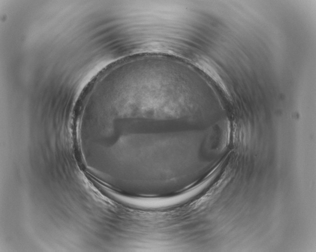 X0000088481068200705221411