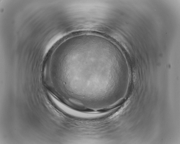 X0000088481069200705221411
