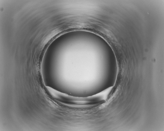 X0000088481073200705221411