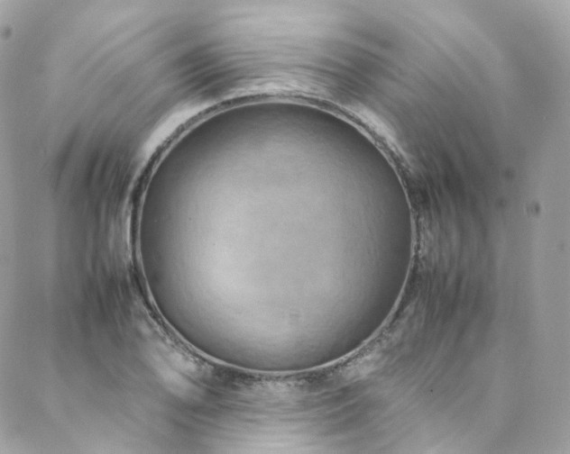 X0000088481078200705221411