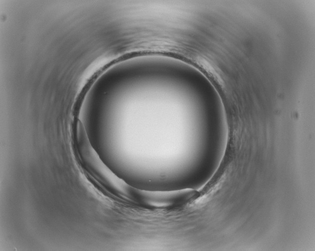 X0000088481085200705221411