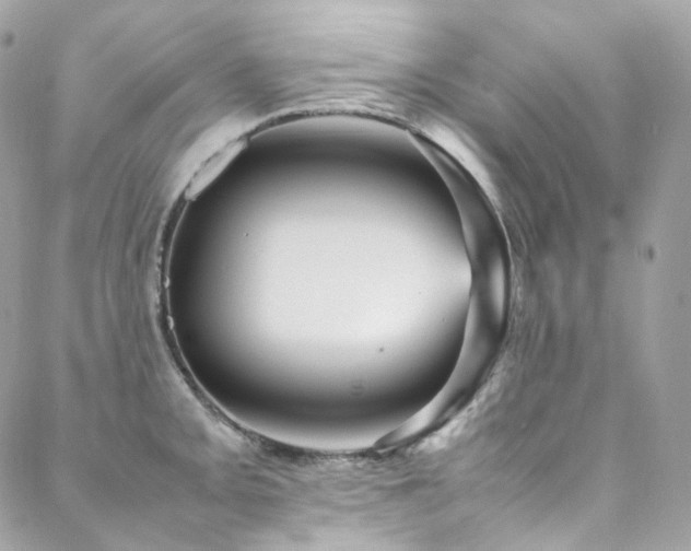 X0000088481093200705221411