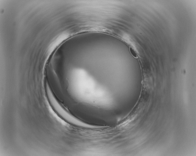 X0000088481095200705221411