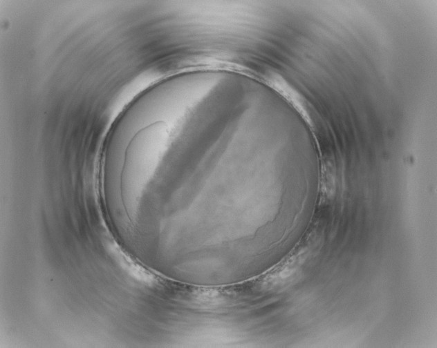 X0000088481098200705221411