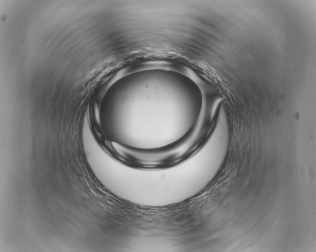 X0000088481110200705221410