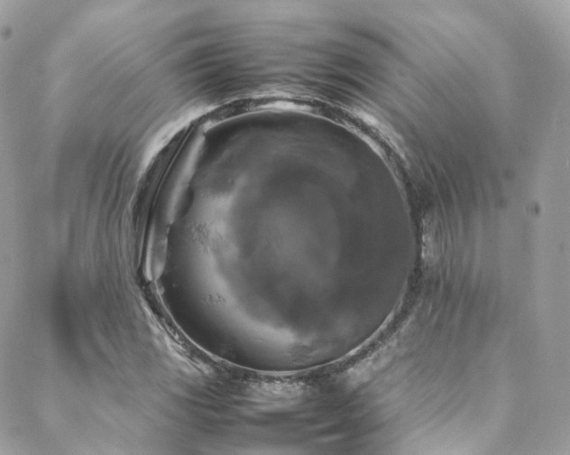 X0000088481117200705221410
