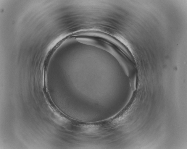 X0000088481127200705221410