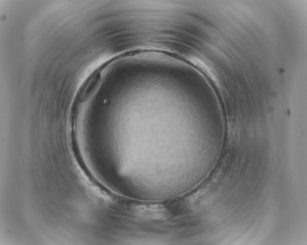 X0000088481133200705221410