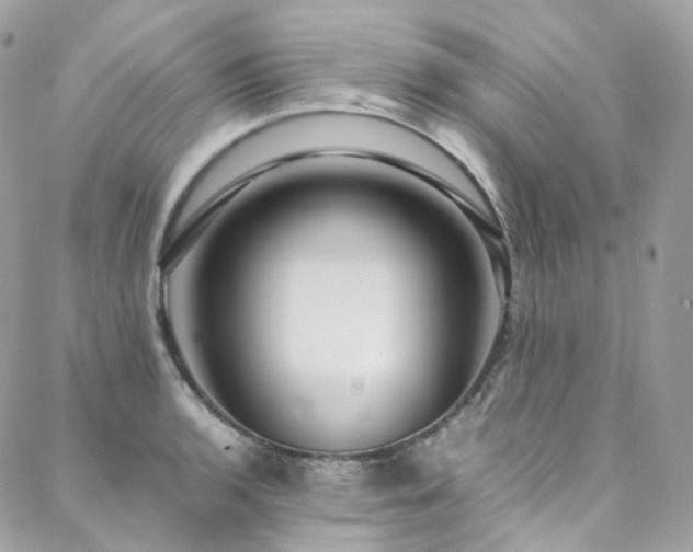 X0000088481136200705221410